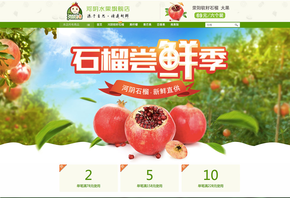 <b>[河阴水果旗舰店]TMALL电商案例整合</b>